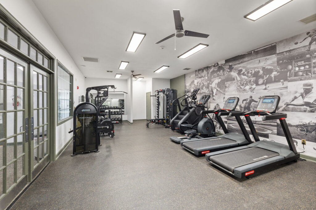 Modern gym room with treadmills, elliptical machines, weight machines, and free weights. The walls are decorated with sports-themed murals, and large windows and overhead lights brighten the clean, spacious area.